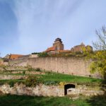 IMG_20231112_122925809_AE